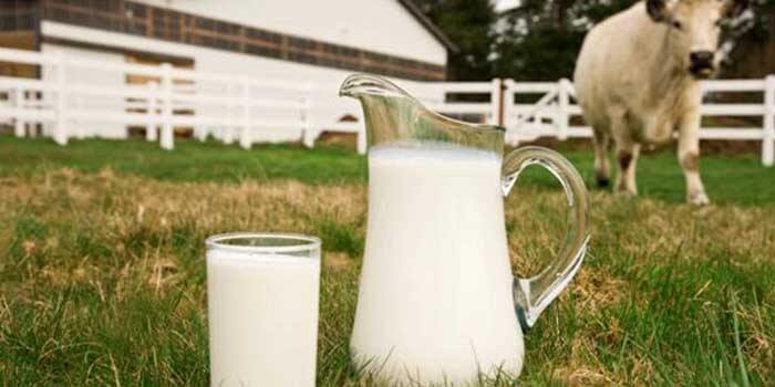 Why do People Prefer Healthy Organic Milk?