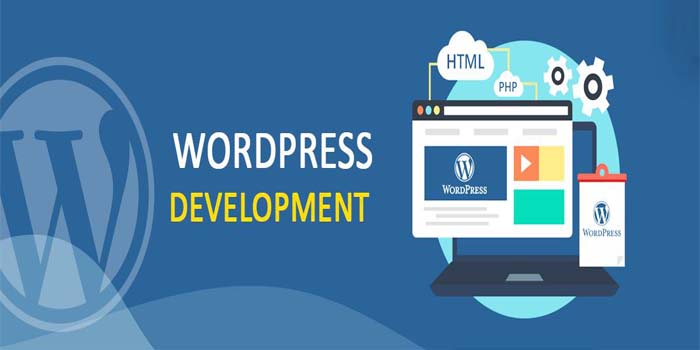 Learn How to Become a WordPress Developer