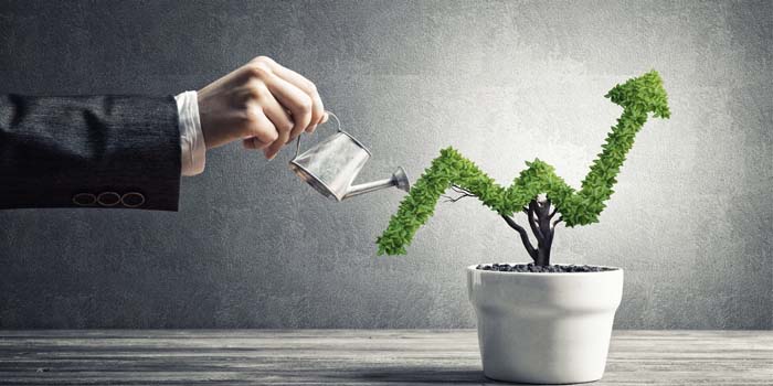 5 Ways To Grow Your Business Without Spending a Fortune