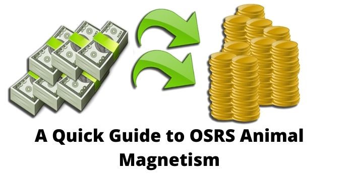 A Quick Guide to OSRS Animal Magnetism