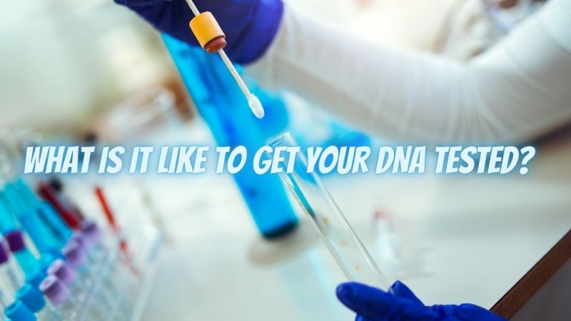 What is it Like to Get your DNA Tested?