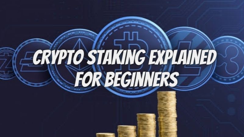 Crypto Staking Explained For Beginners