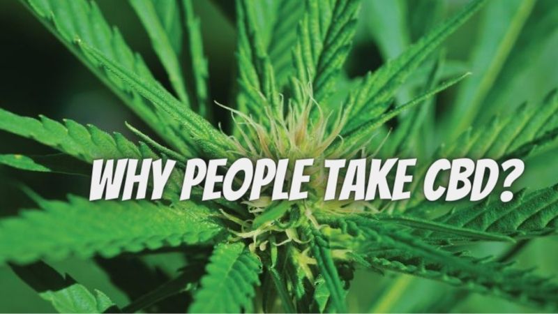 Why People Take CBD? Know here reasons