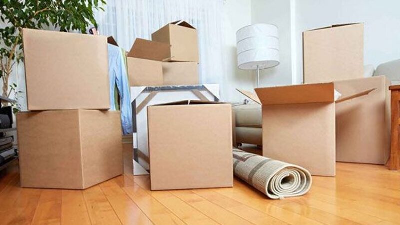 Why Professional Movers are Essential if You Own High-End Items