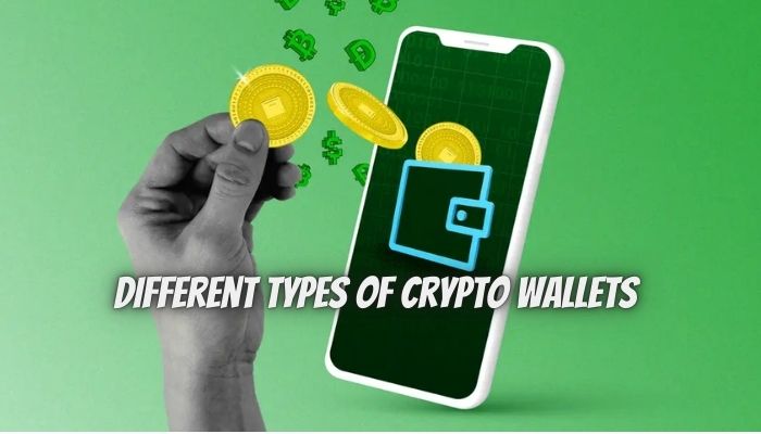 A Simple, Detailed Explanation Of Crypto Wallets For Every Crypto Newbie