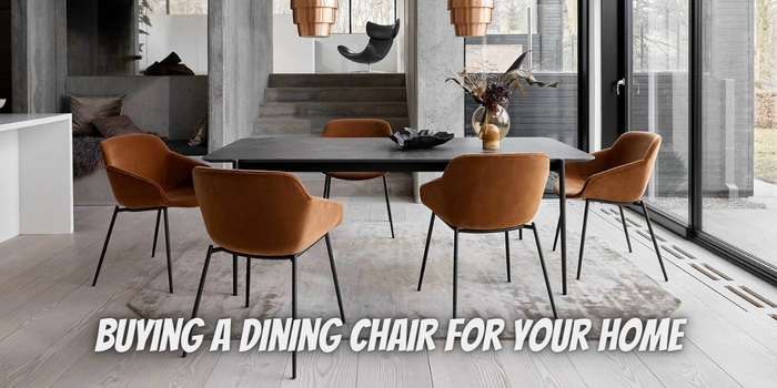 Everything You Need to Know Before Buying A Dining Chair For Your Home