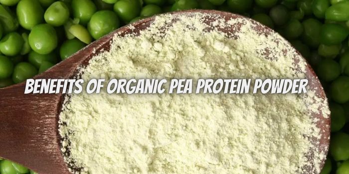 7 Benefits of Organic Pea Protein Powder