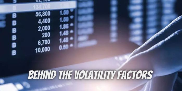 Behind the Volatility: Understanding The Key Factors