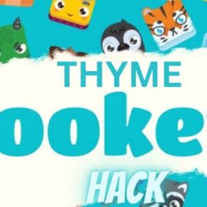 Numerous hacks that break the game: thyme blooket hack