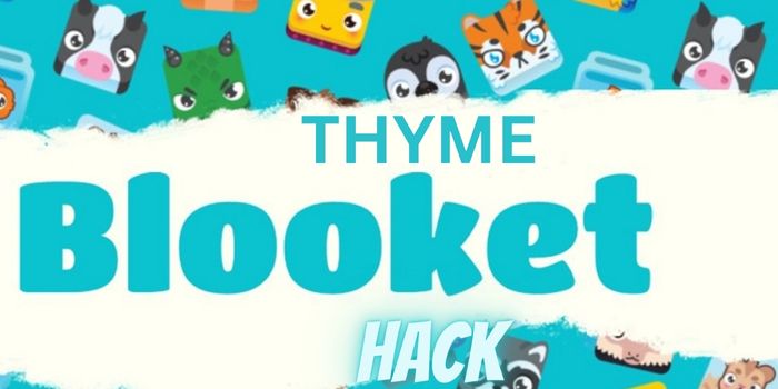 Numerous hacks that break the game: thyme blooket hack
