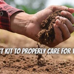 Here’s Why You Need a Soil Test Kit to Properly Care for Your Lawn