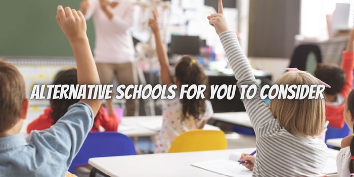 5 Alternative Schools For You to Consider in 2023