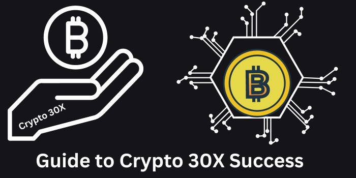 Your Guide to Crypto 30X Success