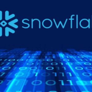 Unlocking Business Potential: A Comprehensive Guide to Snowflake Consulting