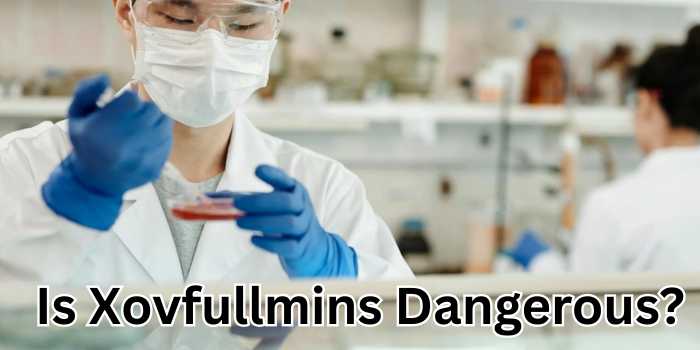 Is Xovfullmins Dangerous? What You Need to Know 
