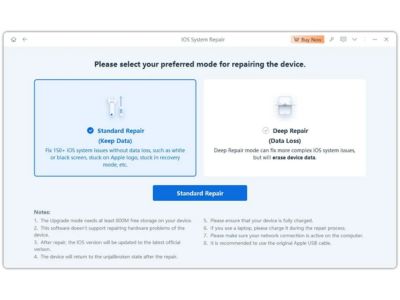 Pick Standard Repair