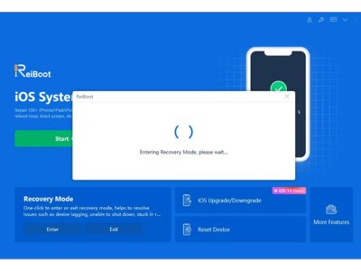 When ReiBoot recognizes