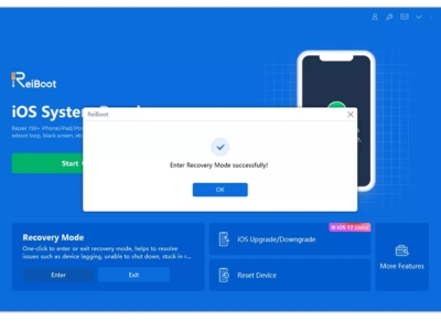 Wait for Recovery Mode